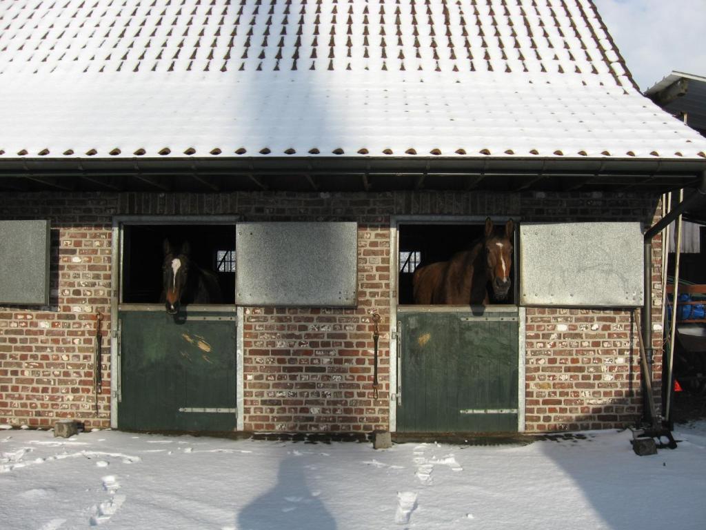 De Rosmolen Villa Ertvelde Exterior foto
